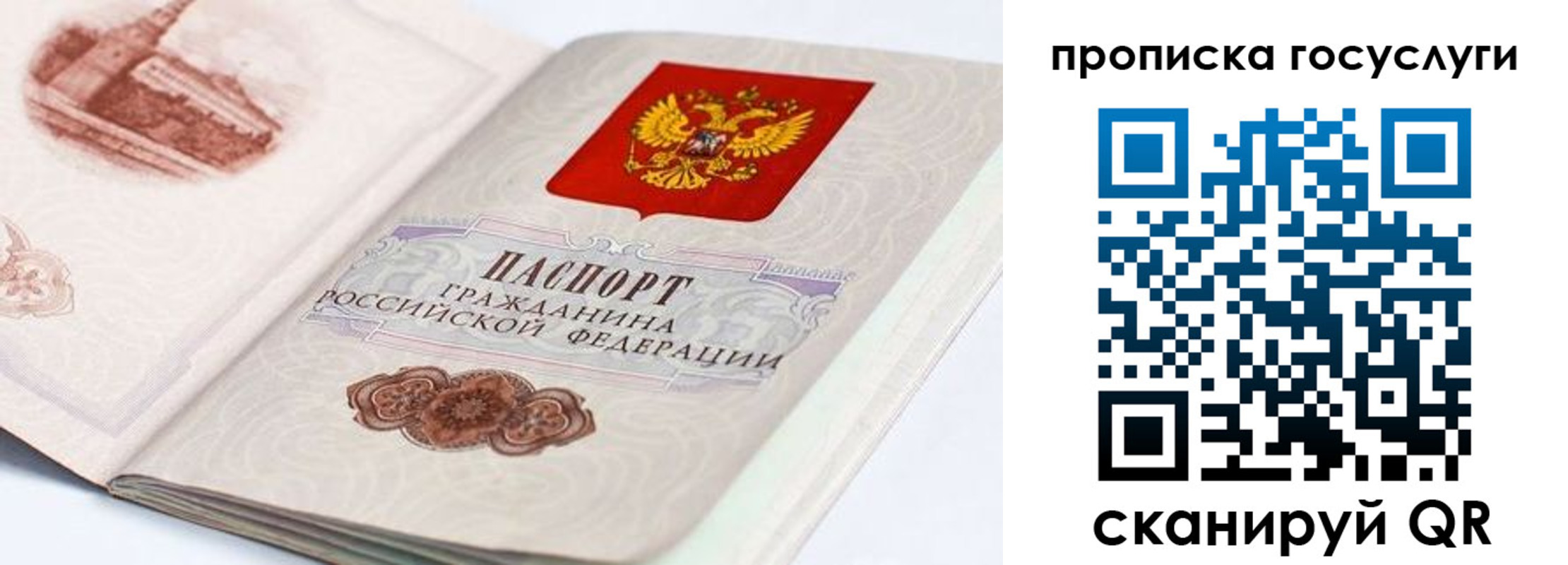 прописка гарантия в Белогорске